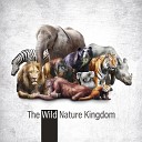 Sounds of Nature Kingdom - A Majestic Lion