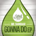 Mr Shandaar - Much More Original Mix