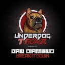 Dan Diamond - Break It Down Original Mix