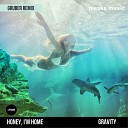 Honey Im Home Gruber - Gravity Gruber Remix