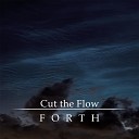 Cut the Flow - Forth