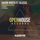 Aaron North feat Alessa - Forbidden Glyphs Radio Edit