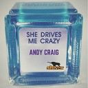 Andy Craig - She Drives Me Crazy Original Mix