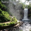 Nature s Song - The Way Of The River Original Mix