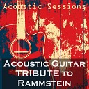 Acoustic Sessions - Das Modell