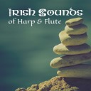 New Age Deep Meditation Academy Relaxing Flute Music… - Celtic Meditation Journey