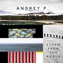 Andrey P - Storm Original Mix