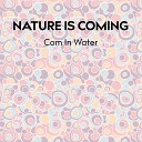 Nature Is Coming - Comone Original Mix