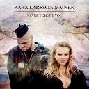 Zara Larsson MNEK - Never Forget You JAY D Remix