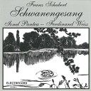 Orchestra Filarmonic Oradea Stelian Olaru Ionel… - Standchen D 889