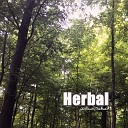 Hicham Chahidi - Herbal