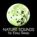Inspiring Dreams Academy - Insomnia Beautiful Nature Sounds