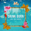 Lion Max Gabriel - Drink Burn Extended Mix