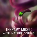 Nature Sound Series - Relieve the Stress