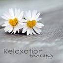 Relaxation Personal Guru - Ambient Music Stress Relief