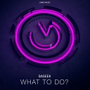 Baseek - What to Do Radio Edit