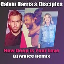 Calvin Harris Disciples Dj Amice - How Deep is Your Love