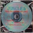 Jungle 5 - Feel The Power Of Love The Power Mix