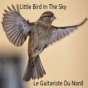 Le Guitariste Du Nord - La Sol Fa Do