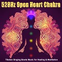 528Hz Open Heart Chakra - Trust Through Honesty Solar Plexus Chakra Wisdom…