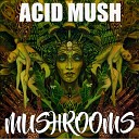 ACID MUSH - Mushrooms