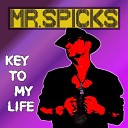 Mr Spicks - Key to My Life