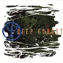 Deep Forest - Forest Hymn 1994