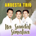 Andesta Trio - Pariban Nauli