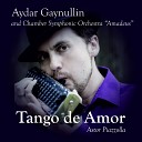 Aydar Gaynullin - Aconcagua Allegro marcato