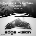 Numedian The Synthetic - Shishak Original Mix