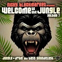 DJ Dan - Original Ragga Jungle Mix