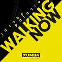 Jacobo Palacio - Walking Now Original Mix