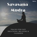 Harmonious and Peaceful Mantra - Dripping Water