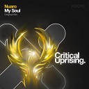 Nuaro - My Soul Original Mix