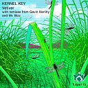 Kernel Key - Vetiver Gavin Herlihy Remix