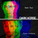 Peter Hollens - Dark Horse
