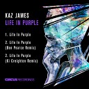 Kaz James - Life In Purple Ben Pearce Remix