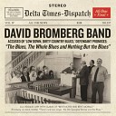 David Bromberg Band - A Fool for You
