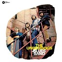 The Underdogs - Cheating Everybody Needs Somebody Ride Your Pony live…