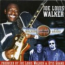 Joe Louis Walker - I Like It This Way