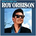 Roy Orbison - Sugar And Honey