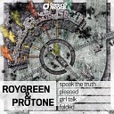 RoyGreen Protone - Girl Talk Original Mix