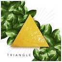 Triangle Lemon feat Neb lar - T H Y T H O