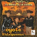 Coyote Hidalguense - El San Lorenzo