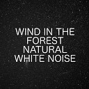 Ambient Nature White Noise - Key To Relaxation