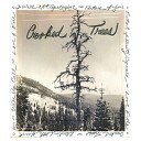 Crooked Trees - Love Falls