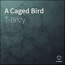 T Brizy - A Caged Bird