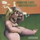 Missing Link - Song For Ann