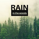 Rain Sounds Healing Markrain - Sound of the Forest Calm Peace