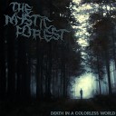 The Mystic Forest - Was This Really The Place Where You Wanted to…